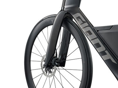 Giant Trinity Advanced SL 1 click to zoom image