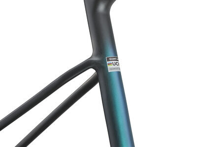 Giant Revolt Advanced SL Frameset click to zoom image