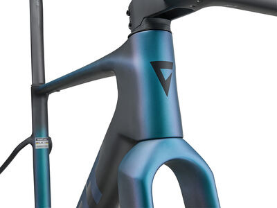 Giant Revolt Advanced SL Frameset click to zoom image