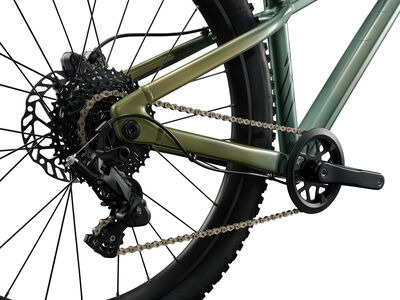 Liv STP 24 Liv Alpine Green click to zoom image