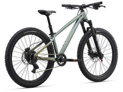 Liv STP 24 Liv Alpine Green click to zoom image
