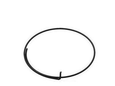 Campagnolo Pawl Spring for Freehub FH-RE114 - Single 