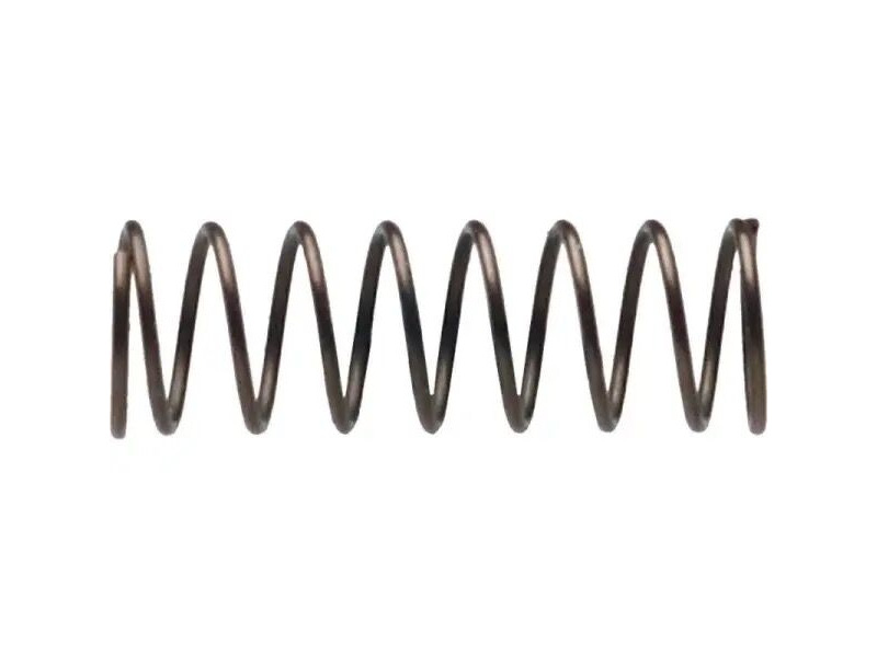 Campagnolo Pawl Spring for Freehub RE014 click to zoom image